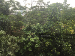 St. Martin Residence (D10), Condominium #171886942